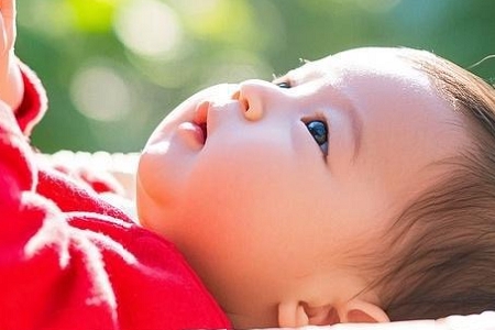 姓张的龙凤胎名字467个