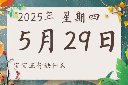 2025529ճкŮʲôȱʲô