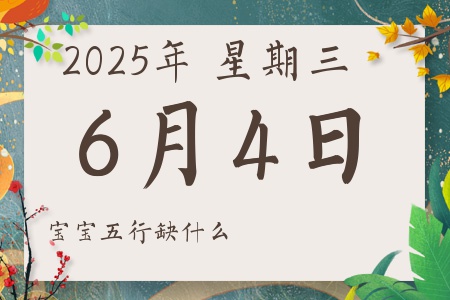 202564ճкŮʲôȱʲô