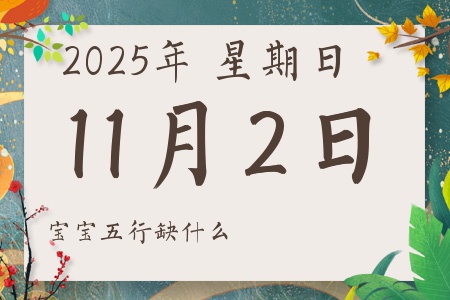 2025年11月2日出生的男孩女孩五行属什么缺什么