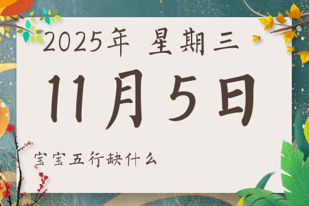 2025年11月5日出生的男孩女孩五行属什么缺什么