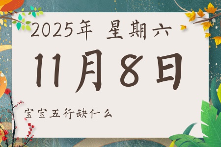 2025年11月8日出生的男孩女孩五行属什么缺什么