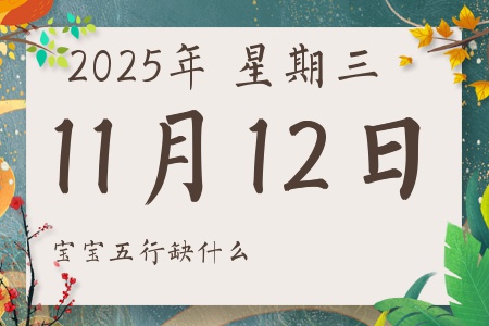 2025年11月12日出生的男孩女孩五行属什么缺什么
