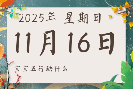 20251116ճкŮʲôȱʲô