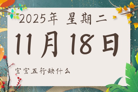 20251118ճкŮʲôȱʲô