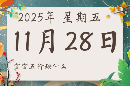 2025年11月28日出生的男孩女孩五行属什么缺什么