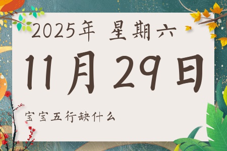 2025年11月29日出生的男孩女孩五行属什么缺什么