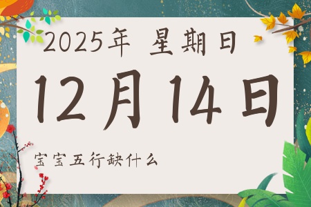 2025年12月14日出生的男孩女孩五行属什么缺什么