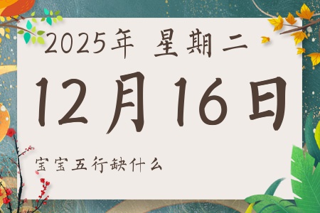 2025��12��16�ճ������к�Ů��������ʲôȱʲô