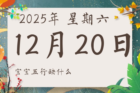 2025年12月20日出生的男孩女孩五行属什么缺什么