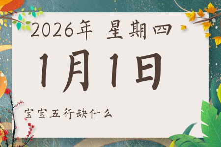 2026��1��1�ճ������к�Ů��������ʲôȱʲô