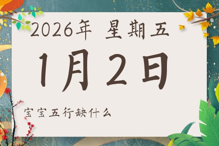 2026��1��2�ճ������к�Ů��������ʲôȱʲô