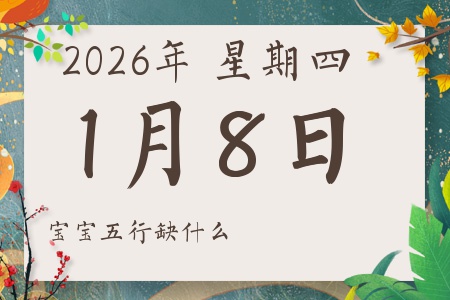 2026��1��8�ճ������к�Ů��������ʲôȱʲô